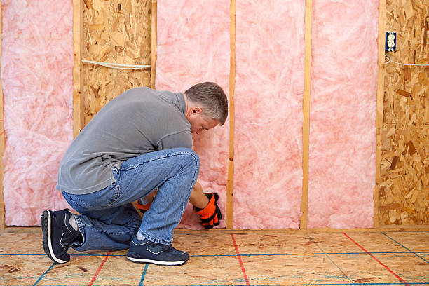 Best Crawl Space Insulation  in West Sacramento, CA