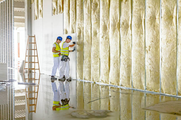 Types of Insulation We Offer in West Sacramento, CA